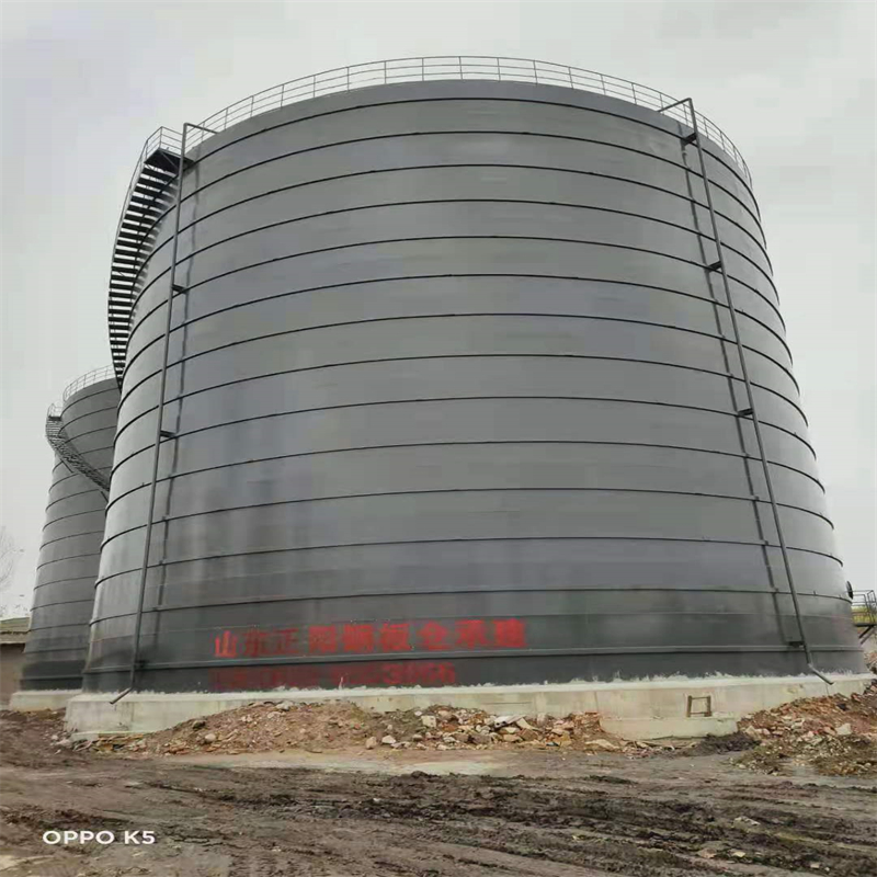 元谋3万吨大型钢板库